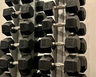 Hoist Weight Rack & Hampton Weights (5 lbs. - 50 lbs.)