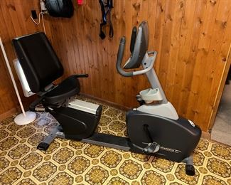 Diamondback 1190Sr self-powered recumbent bike