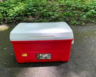 Igloo 48 qt cooler