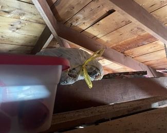 Christmas tree and vintage items