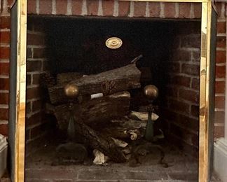 Fireplace Screen & Andirons