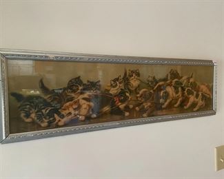 Cats and Dogs tug of war