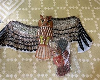 Owl kites
