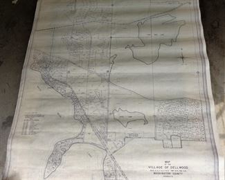 Dellwood plat map 1970s