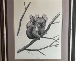 Koala Bear print signed by Guy Coheleach