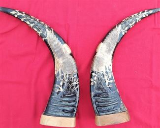 CATTLE HORN THAILAND 