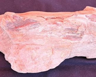 PETRIFIED WOOD PIECE