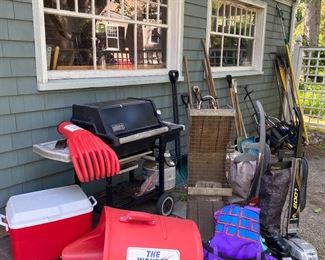 Some of yard and garden...