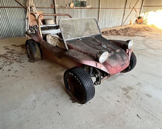 This little fella has so much potential!