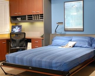 Techline queen size bed (bed only, disassembled and ready to go -$500 or BO