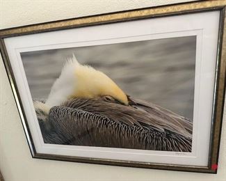 Miscellaneous photographic art prints