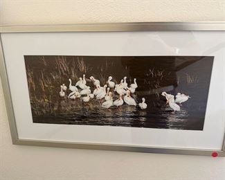 Miscellaneous photographic art prints