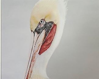 Miscellaneous photographic art prints