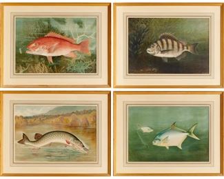 S.A. Kilbourne, (4) fish chromolithographs