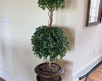 A Pair of Beautiful Topiaries