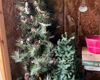 Top of the largest Christmas tree