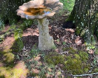Bird bath in back yard