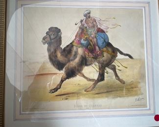 Lithograph Etude de Chameau by J Adam