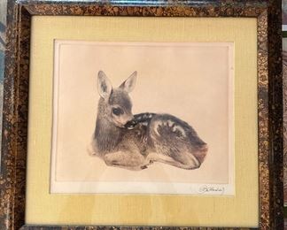 "Fawn"  Etching by Kurt Meyer-Eberhardt (1895-1977)