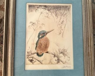 "Eisvogel/Kingfisher" Etching by Kurt Meyer-Eberhardt (1895-1977)