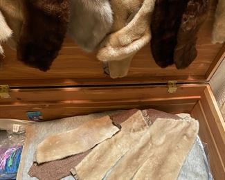 Cedar chest loaded with mink fur collars