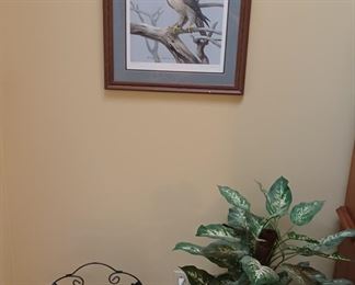 Limited Edition Bird Print