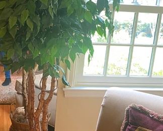 Tall Artificial Ficus Tree / Cream Armchair