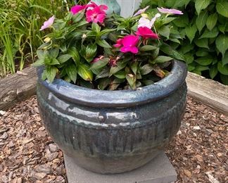 Potted Plant in Urn