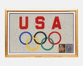 MASSIVE Salt Lake 2002 Winter Olympics Flag USA Team Signed Banner Framed