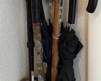Assorted Canes and Umbrellas
