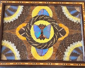 Vintage Real Butterfly Tray