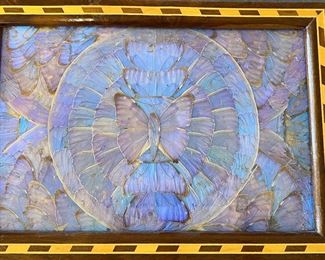 Vintage Real Butterfly Tray