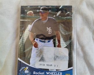 Myrtle Beach Pelicans Team Set