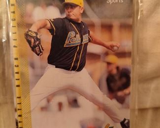 Myrtle Beach Pelicans Team Set