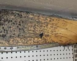 #134 • Wooden Plane Propeller