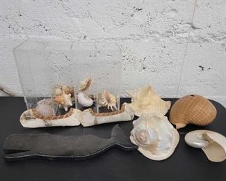 #1090 • Assorted Sea Shells and Decor