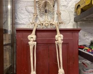 #1202 • Full skeleton prop