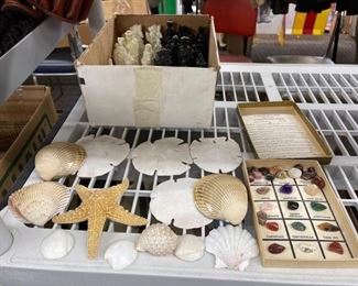 #2562 • Sea shells, Chess Pieces and Gem stones