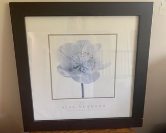 #223 framed print.         $10