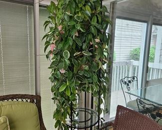 Large plant on plantstand