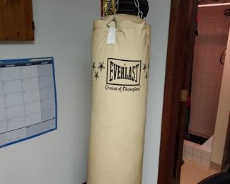 Everlast Canvas Punching Bag