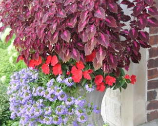 Resin  Footed Planter 17" Diameter x 24" h with Potted Plants, 60"h 