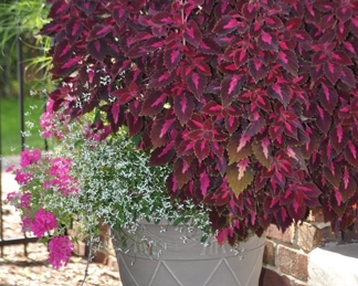 Faux Basket Weave Resin Planter,18"Diameter x 15"h With Planted Flowers 58"h