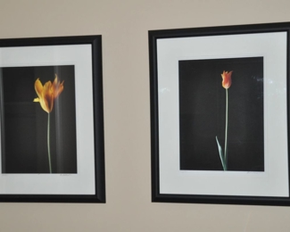 Two Framed Photographs, Flame Tulip, and Orange Flower, Signed by M. Scott Booth. 21' x 25"
