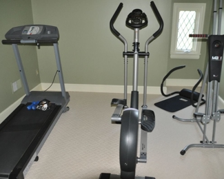 Theradyne Fitness TM940 Treadmill, Reflex Step Custom Fit Elliptical, MAI Mountain Climber and Weider Ab Shaper