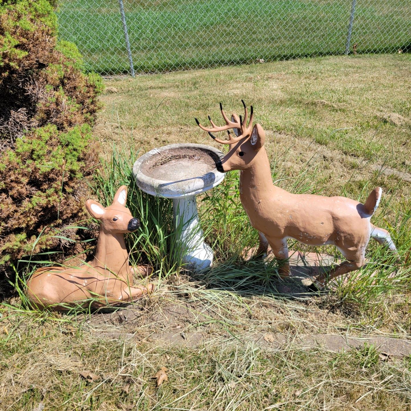 Cedar Rapids Estate Sale starts on 7/7/2023