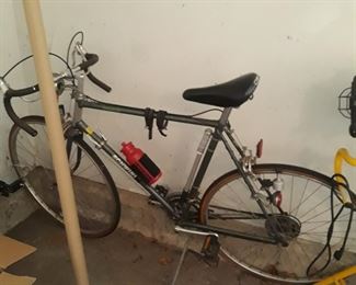 Mens 10 speed bicycle 