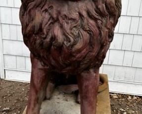 For immediate sale 612-462-2293 or willmatthill.com for details $3,500