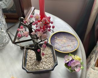 Small jade tree