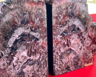 Arizona Petrified Wood Bookends